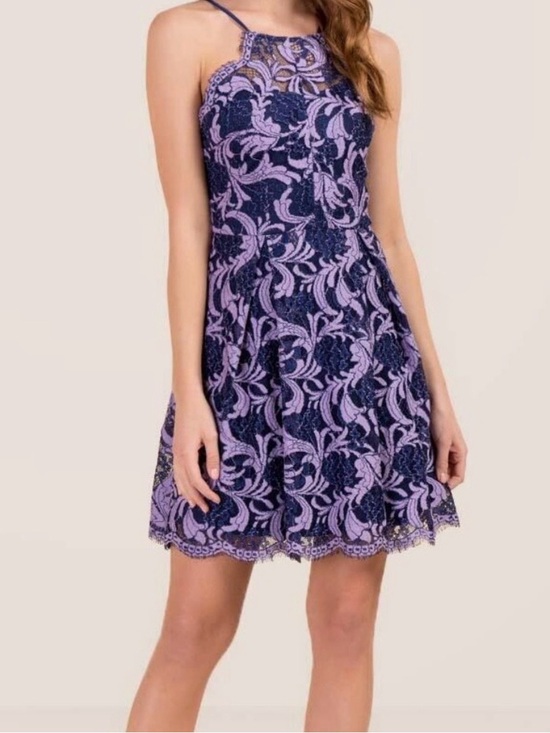 Francesca's Collections Dresses & Skirts - Francesca's Collections Lavender and Navy Lace Mini Dress